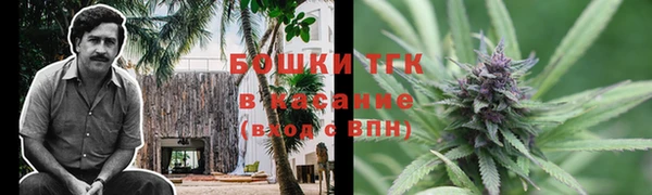 твердый Алексеевка
