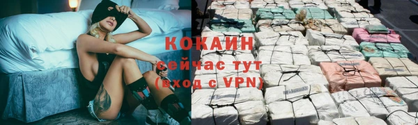 дживик Алексин